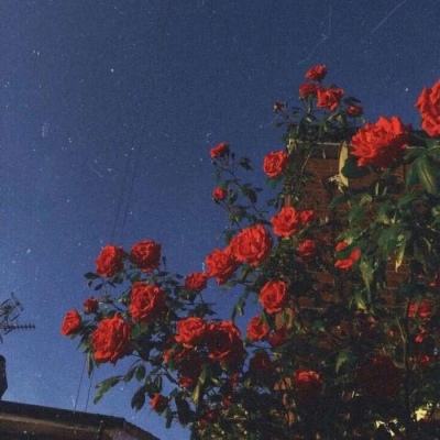 开元ky888vip手机app下载截图